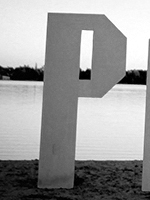 finalyson 2006