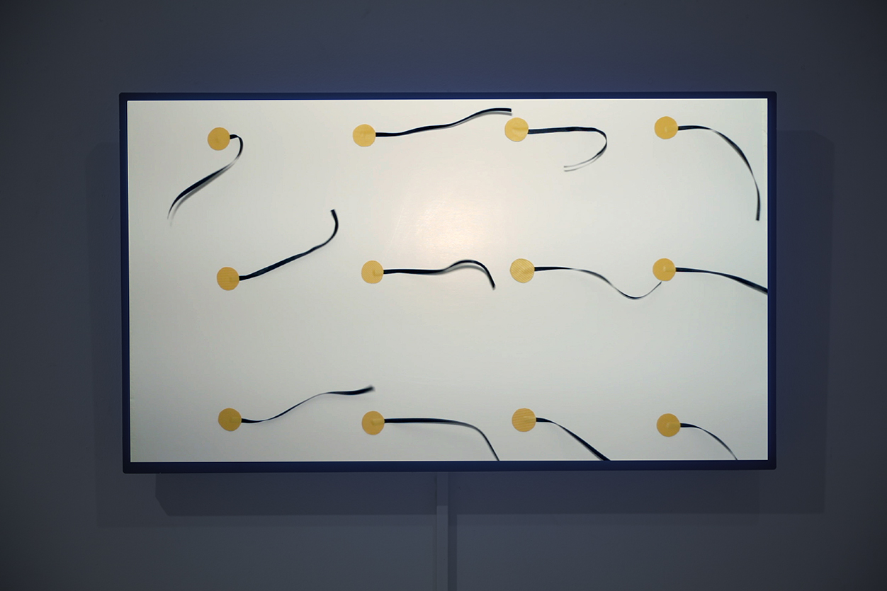 telling tales windpark